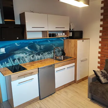 Appartement Zakopianskie U Eweliny - *